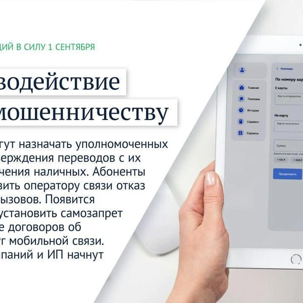 Источник: телеграм-канал Вячеслава Володина