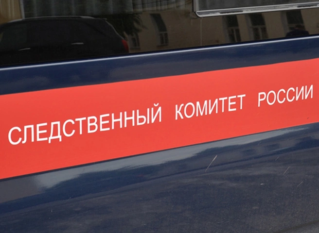 Следователи проводят проверку после гибели студента на улице Костычева | ya62.ru