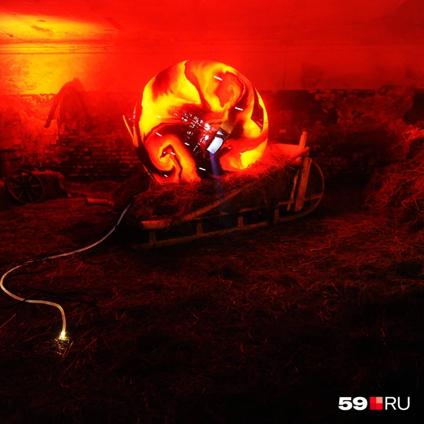 Источник: Ирина Тропина / 59.RU