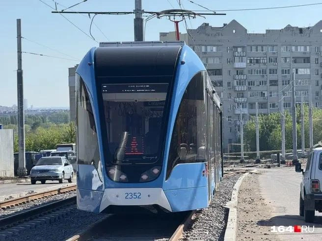 Граждане требуют навести порядок. | Источник: Сергей Петунин / 164.RU