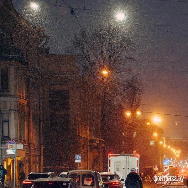 Источник: Наталья Гончарова / FONTANKA.RU