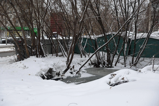 С одной стороны дороги образовалось «водохранилище» | Источник: Александр Ощепков / NGS.RU