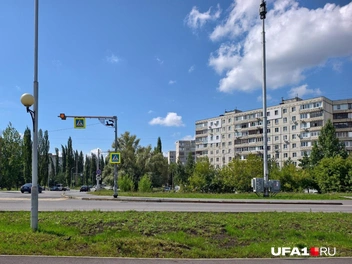 Хоть этим можно похвастаться | Источник: Булат Салихов / UFA1.RU