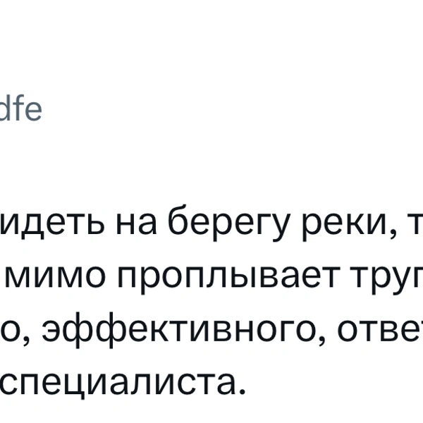 Источник: X (Twitter)