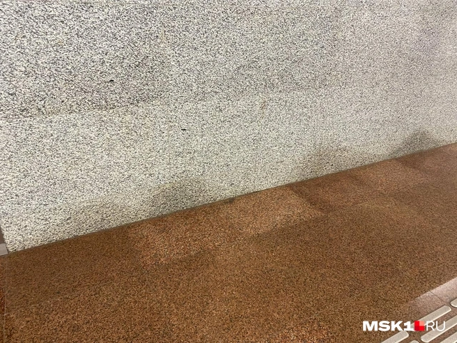 Источник: Гульнара Дахивник / MSK1.RU