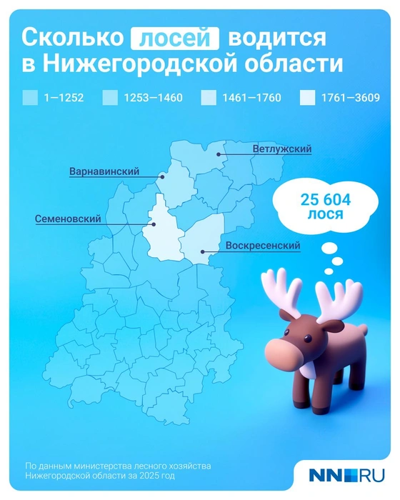 В регионе насчитали более 25 тысячи лосей | Источник: Евгения Бикунова / Городские медиа
