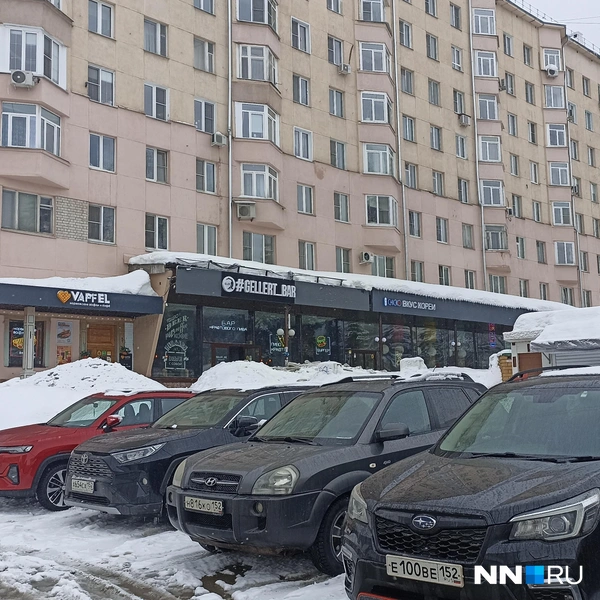 Источник: Дарья Воробьева / NN.RU