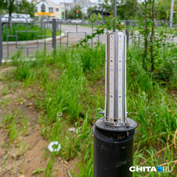 Источник: Олег Федоров / CHITA.RU