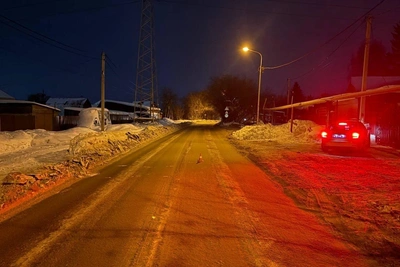 В Новосибирске водитель сбил 12-летнюю девочку и уехал