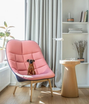 Квартира 260 м² для семьи с тремя детьми и собакой
