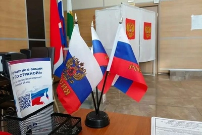 В Амурской области завершилось голосование