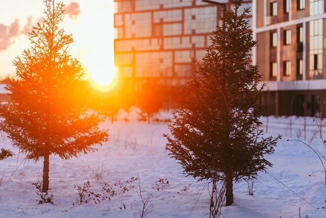 Источник: «Группа Мета»