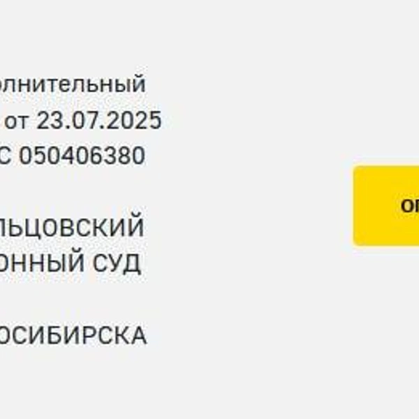 Взыскать с ООО «Партнер Авто» почти 4 миллиона рублей присудил и Заельцовский суд Новосибирска | Источник: fssp.gov.ru