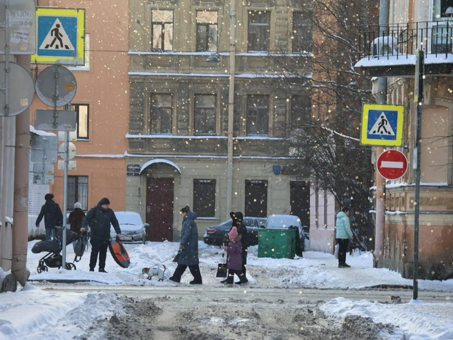 Пешеходы преодолевали сугробы, выгуливали питомцев и с трудом везли детские коляски.