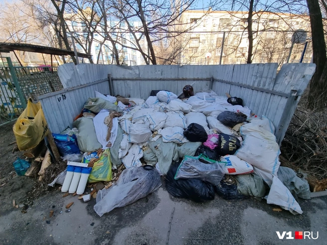 Жители считают, что свалка уже несколько месяцев бросает смрадную тень на решения «Единой России» и, может быть, даже на самого губернатора | Источник: Константин Завриков / V1.RU