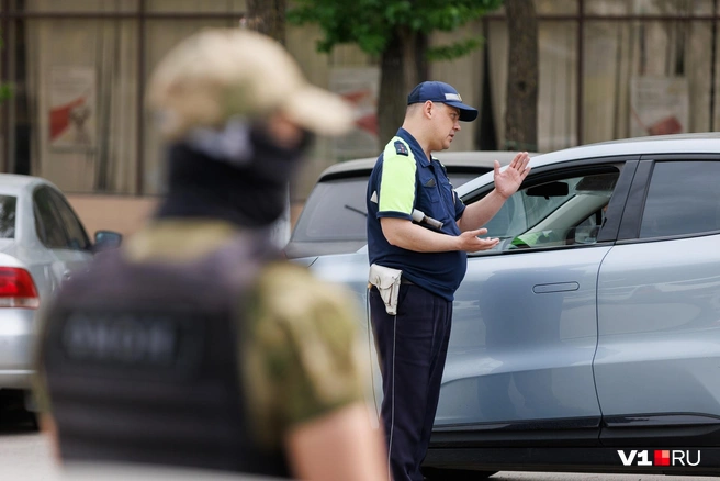 Детали разговора инспектора с водителем остались тайной | Источник: Алексей Волхонский / V1.RU