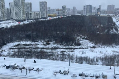 Machinery Begins Destroying Large Green Zone in Akademichesky District