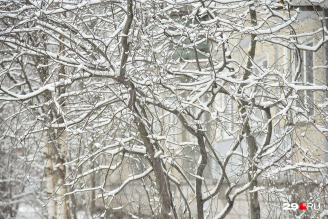 Источник: Иван Митюшёв / 29.RU 