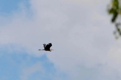 Минприроды Самарской области о чистоте воздуха