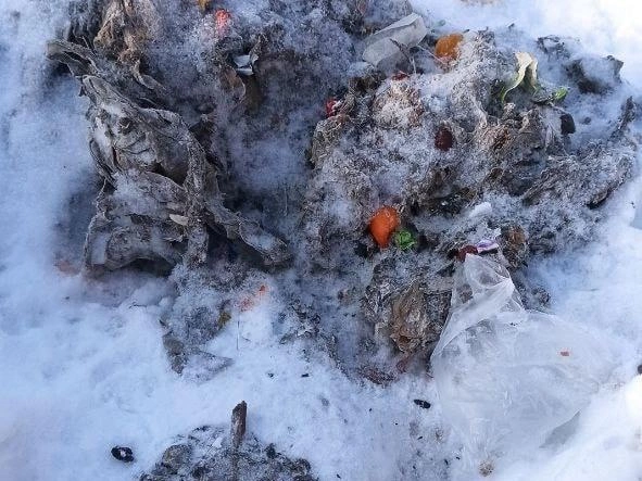 Мусор, который достали из коллектора в КГСХА, стал причиной канализационной протечки в студенческом городке | Источник: пресс-служба КГУ 