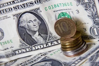 Мошенники унесли доллары в пакетах: потеря 3,5 млн