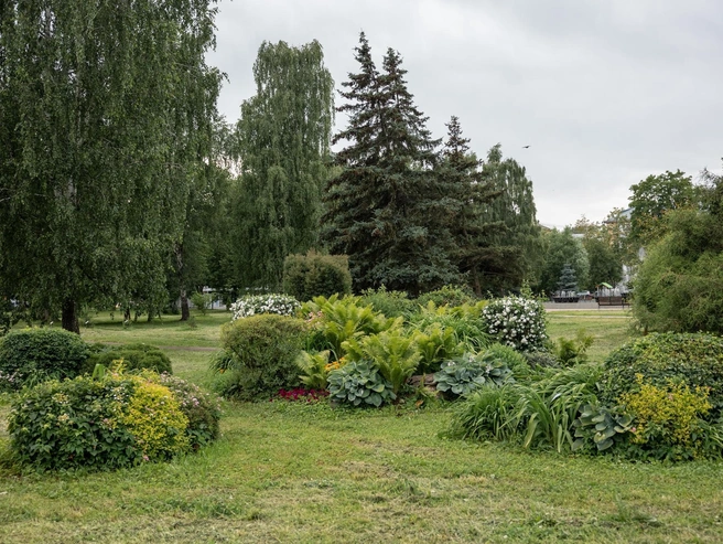 На входе в парк — пышное озеленение | Источник: Александр Куренной / 76.RU