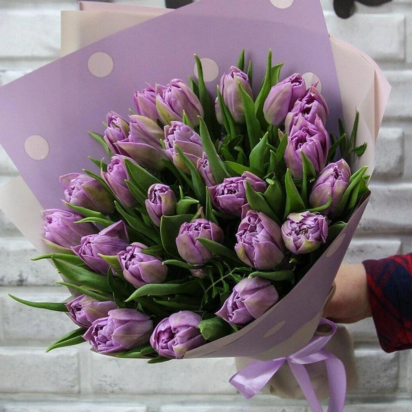 Сиреневые пионовидные тюльпаны, 25 шт., FlorPro