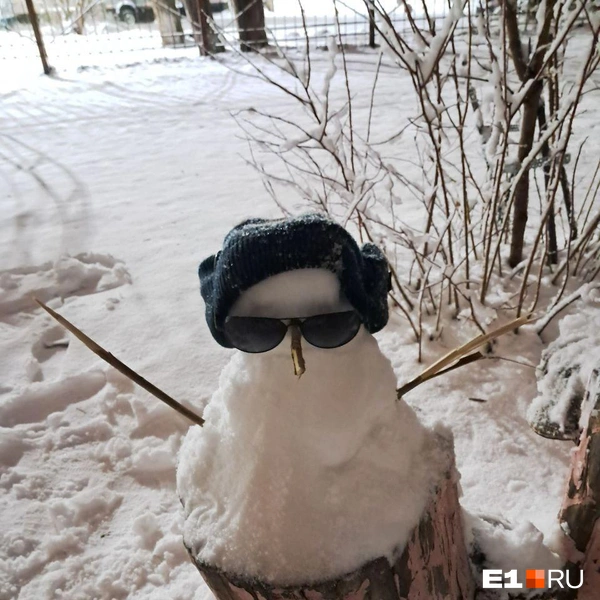 Источник: читатель E1.RU