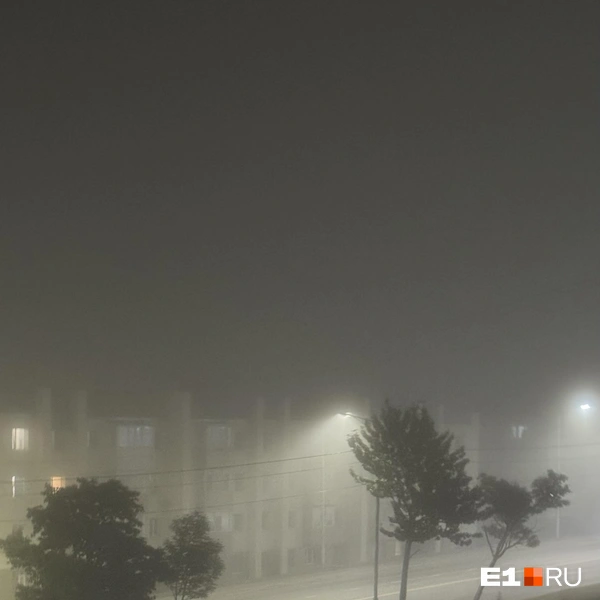 Туманы на Камчатке — явление обычное, почти ежедневное \| Источник: Павел Кошкин
