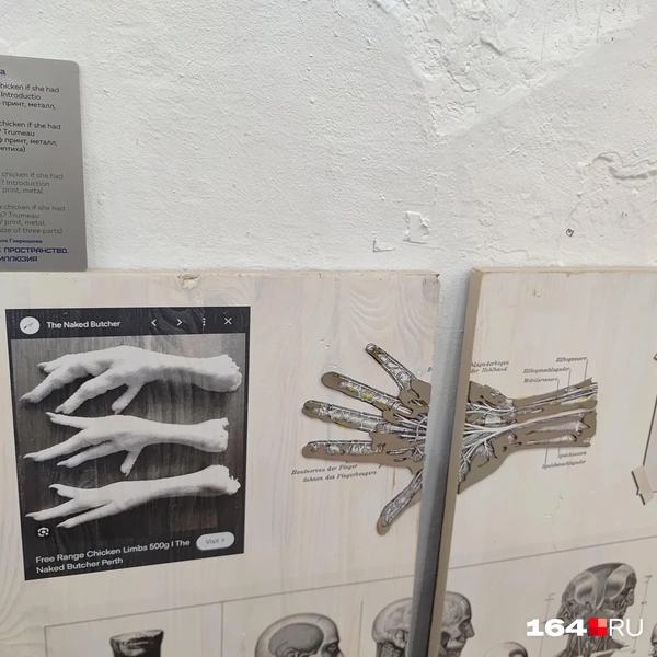 Источник: Сергей Гендин / 164.RU