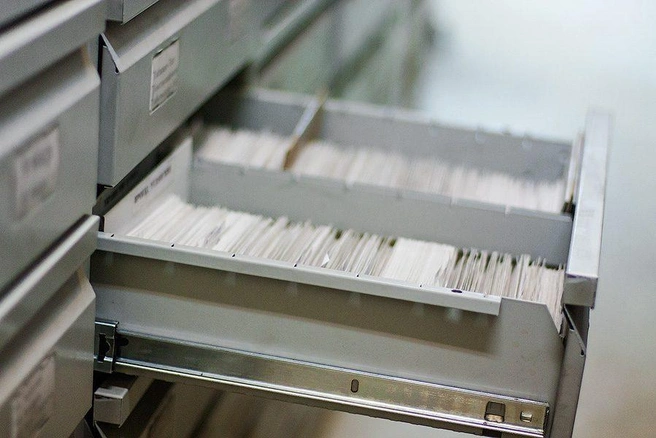 Источник: Ксения Зимина