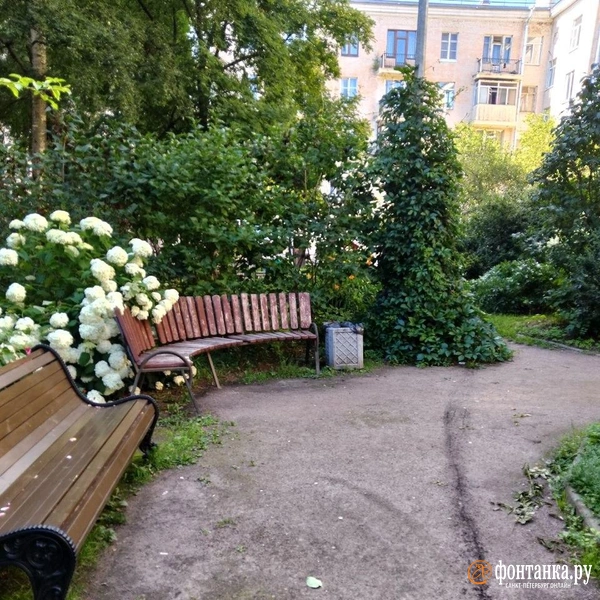 Источник: Читательница «Фонтанки» Ольга