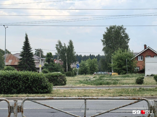 Лес в десяти минутах ходьбы от дома нашей героини | Источник: Василина Любимова / 59.RU