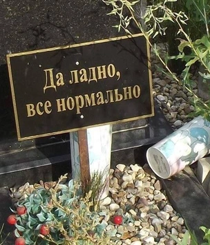 25 картинок недели и как правильно измерять успех