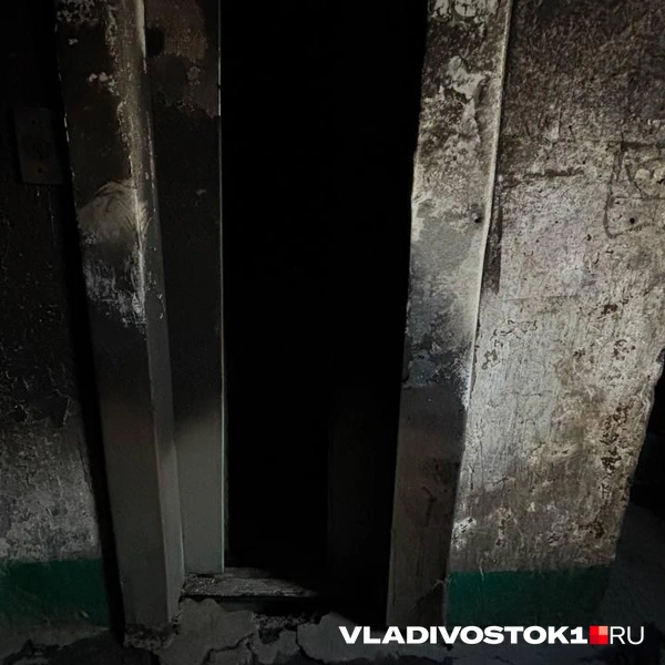 Источник: Елена Буйвол / VLADIVOSTOK1RU