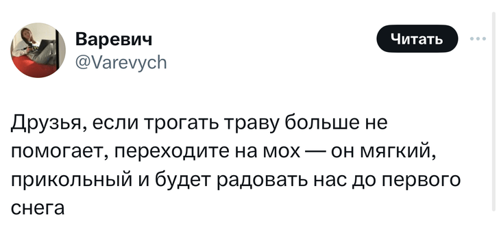 Шутки понедельника и незапланированные кошачьи беременности