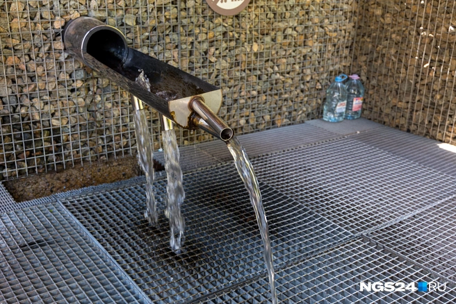 Столбовский родник | Источник: Мария Ленц / NGS24.RU