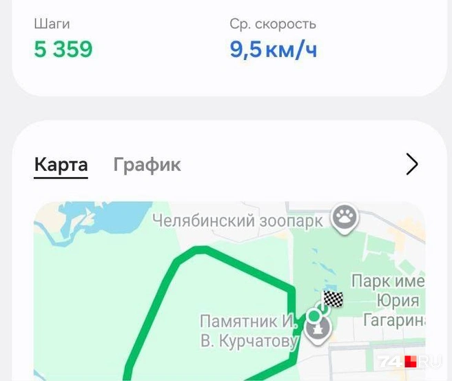 Челябинский городской бор отлично подходит для пробежек | Источник: читатель 74.RU