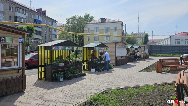 Новый Кировский рынок-сквер | Источник: Дарья Никитченко / 45.RU