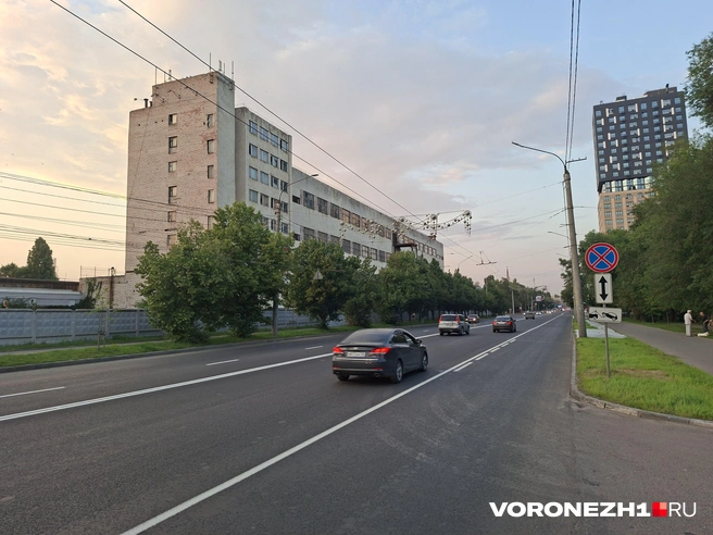Новые выделенные полосы продолжают появляться в Воронеже | Источник: Алёна Воропаева / Voronezh1.ru