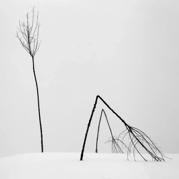 Сербия | Источник: Milan Markovic / Minimalist Photography Awards 2025