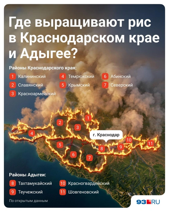 Рис выращивают вокруг Краснодара, из-за этого при сжигании соломы чувствуется запах гари | Источник: Полина Авдошина / 93.RU