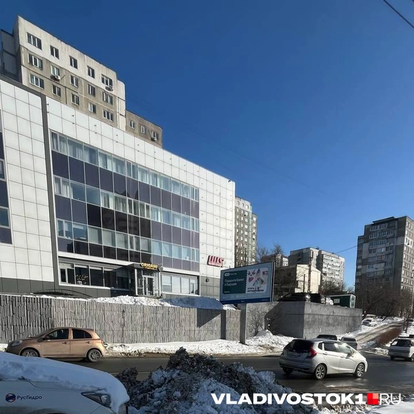 Источник: Елена Буйвол / VLADIVOSTOK1.RU