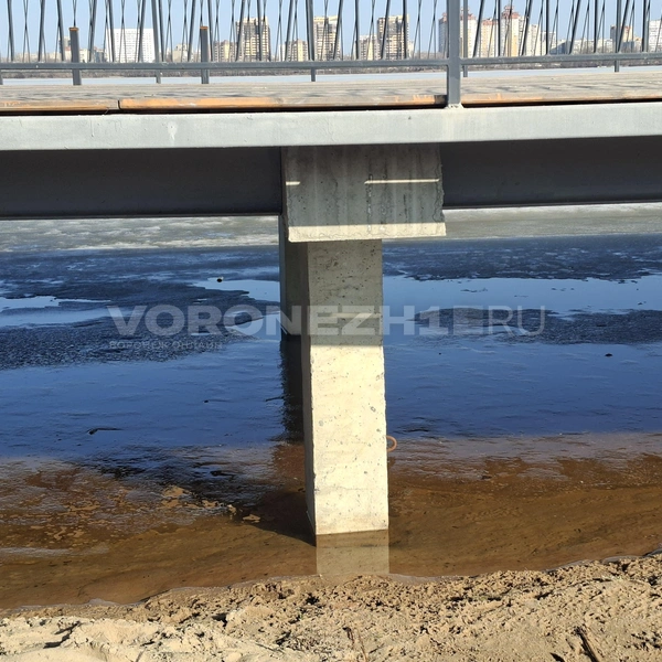 Источник: Алёна Воропаева/ Voronezh1.ru