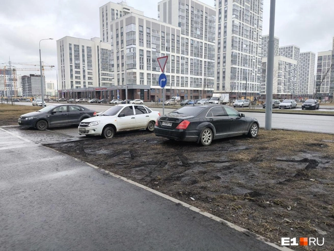 Газоны без ограждений страдают больше остальных, но не везде можно поставить заборы | Источник: Читатель E1.RU