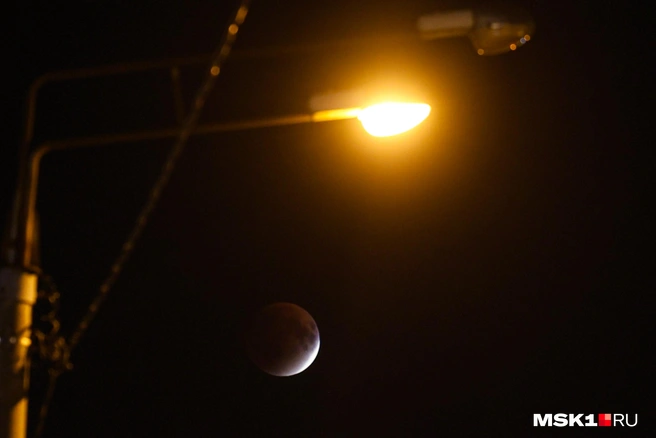 В Воронеже включались сирены | Источник: Артем Устюжанин / MSK1.RU