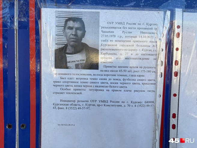 Источник: Кирилл Митин