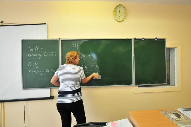 Жалобы саратовских педагогов услышали в областном министерстве образования | Источник: Артём Устюжанин / E1.RU