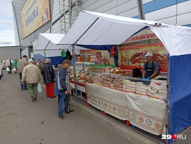 Источник: Иван Митюшёв / 29.RU