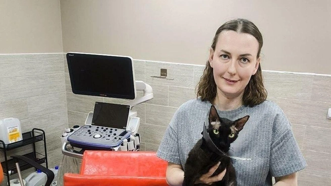 Наталья Субботина заботится о каждом спасенном хвостике. Ее приют открылся в 2016 году. На фото Наталья со сфинксом Мотиком, он ищет новый дом | Источник: приют «Муркот»